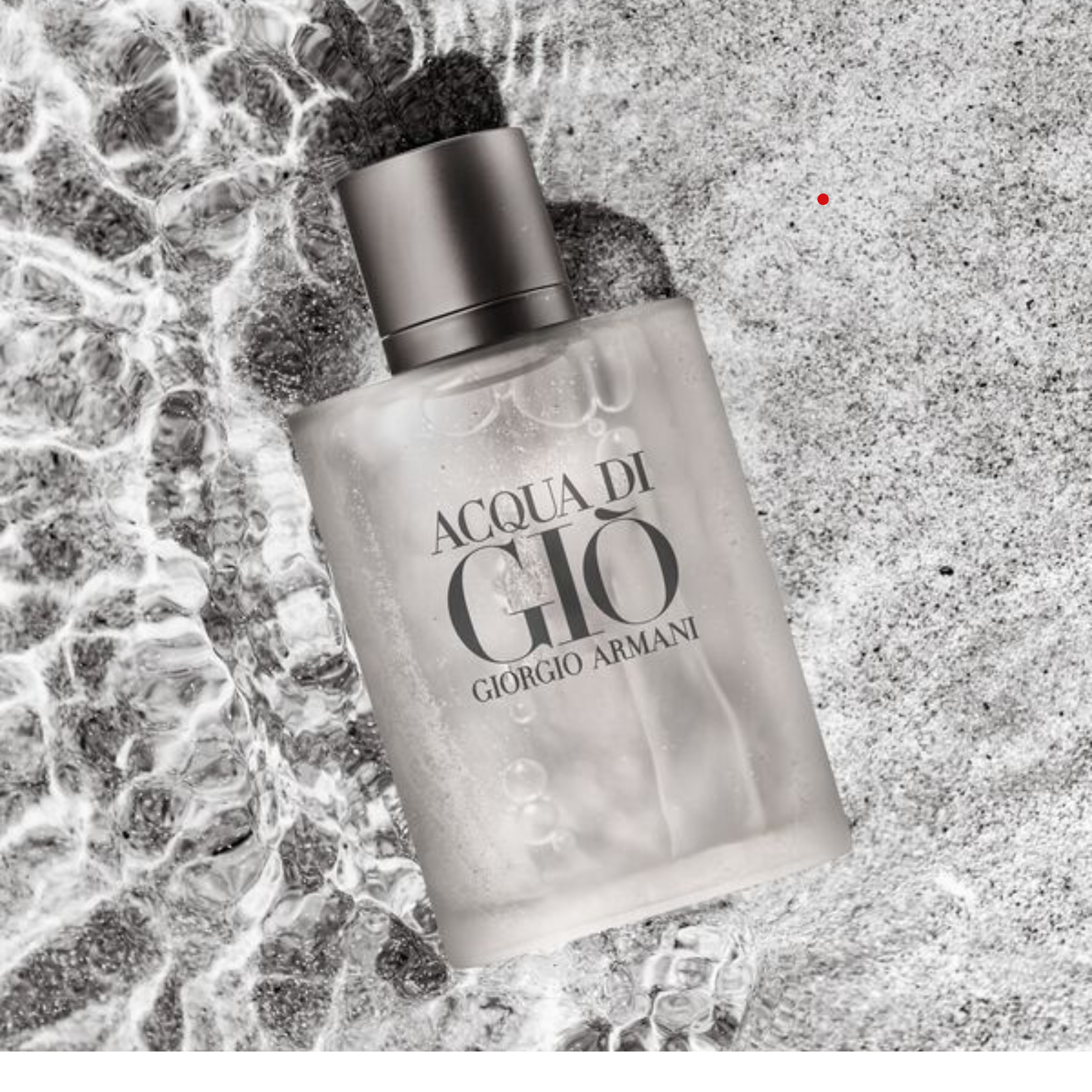 Perfume Acqua Di Gio Armany