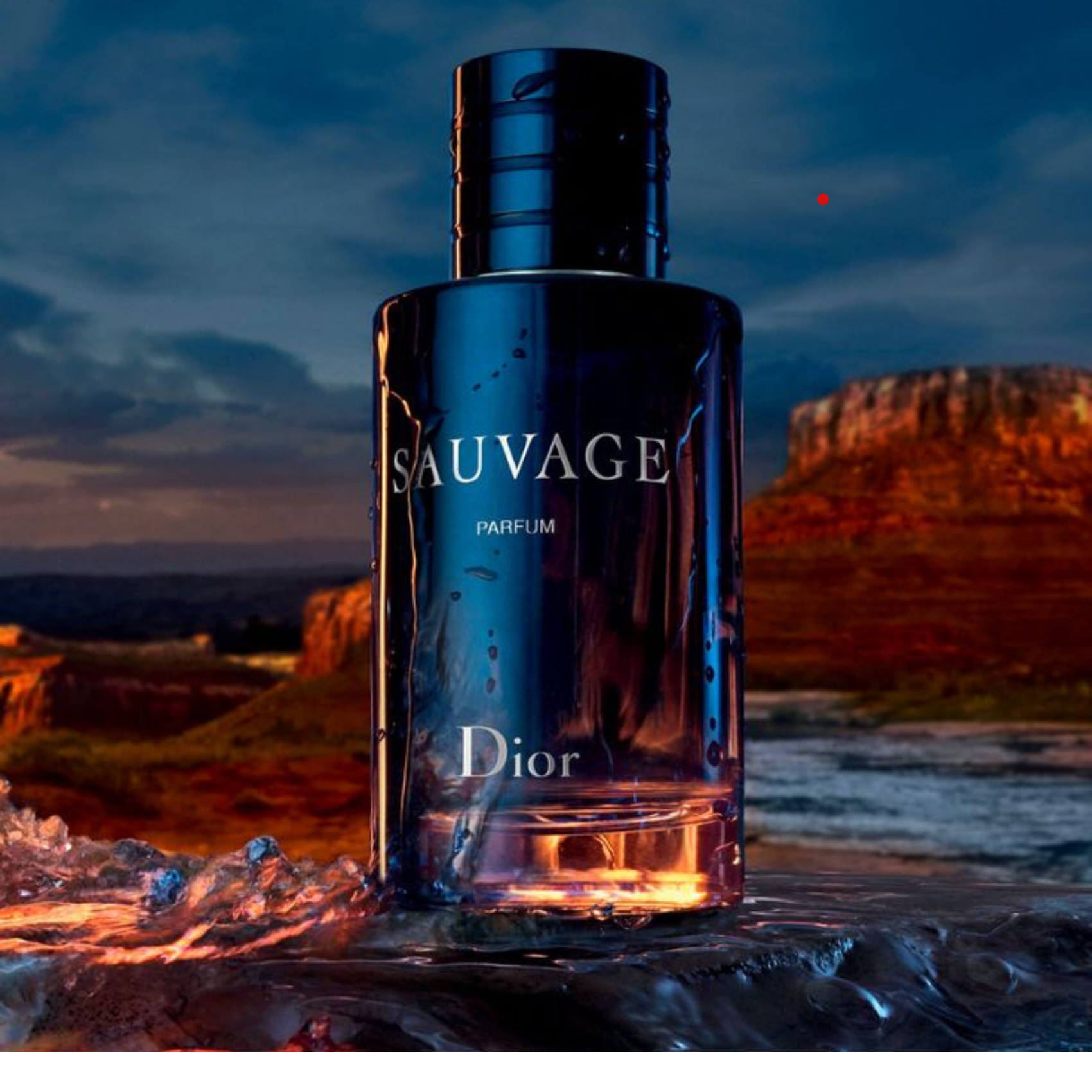 Perfume Dior Sauvage