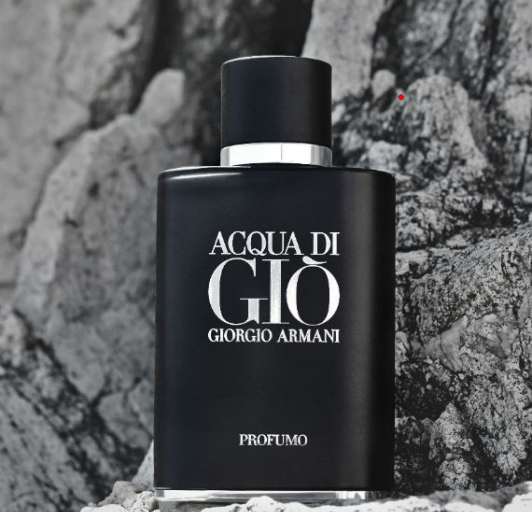 Perfume Acqua Di Gio