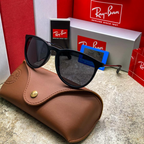 Gafa Rayban Erika