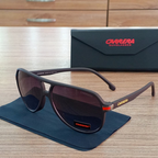 Gafas Carrera