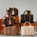 Louis Vuitton Speedy Trunk 20