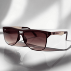Gafa Rayban PD